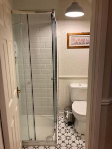 een badkamer met een douche en een toilet bij The Small House in Listowel