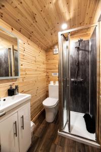 a bathroom with a shower and a toilet at The Red Kite - 2 person Pet Friendly Glamping Cabin in Dungarvan