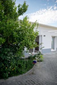 una casa blanca con un arbusto delante de ella en Alojamento Moinho d`Óbidos, en Óbidos