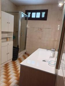 een badkamer met een wastafel en een douche bij Maison de 4 chambres avec jacuzzi terrasse et wifi a Riviere Pilote a 3 km de la plage in Rivière-Pilote