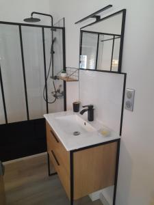 uma casa de banho com um lavatório e um espelho em Gîte des Allas em Campagne