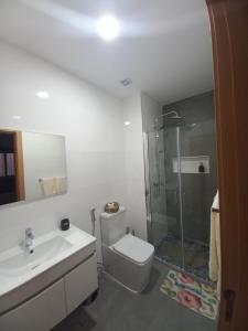 a bathroom with a shower and a toilet and a sink at SuAparts in Praia