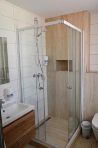 uma casa de banho com um chuveiro, um lavatório e um WC. em Apartmány Pemag Mikulov em Mikulov