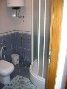 a bathroom with a shower and a toilet at Apartmani Bura in Njivice