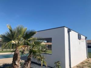 - un panier de basket et un palmier à côté d'un bâtiment dans l'établissement Villa contemporaine avec piscine et grand jardin, à Bernis