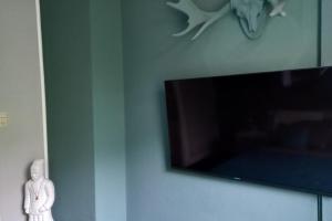a flat screen tv hanging on a wall with a statue at Private Apartment Smoker in Hannover