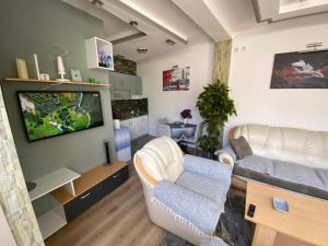 Gallery image of Apartment in Kratovo
