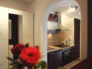 Kuchnia lub aneks kuchenny w obiekcie Fricks Appartement
