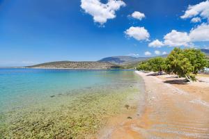 Φυσικό τοπίο κοντά σε αυτό το διαμέρισμα