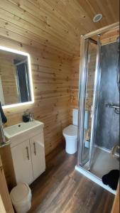 a bathroom with a shower and a toilet and a sink at The Peregrine - 2 Person Luxury Glamping Cabin in Dungarvan