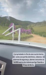 a window with a view of a field with purple flowers at Refúgio nascer das águas in Gravatal