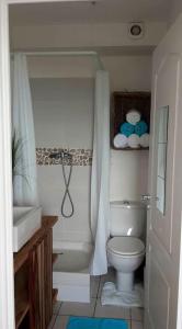 ein Badezimmer mit einem WC, einer Badewanne und einem Waschbecken in der Unterkunft T3 résidence les ramiers (anse a l'âne) in Les Trois-Îlets
