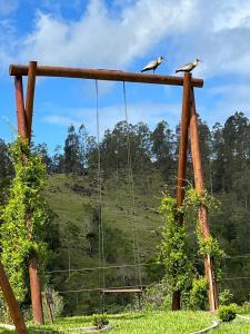 two birds sitting on top of a swing at Refúgio nascer das águas in Gravatal