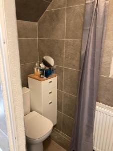 a bathroom with a toilet and a shower curtain at Studio Manzarda in Liptovský Mikuláš