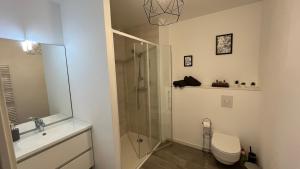 La salle de bains est pourvue d'une douche, de toilettes et d'un lavabo. dans l'établissement La Bri'Z de Dinard, à Dinard