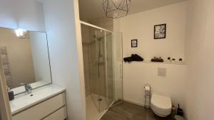 a bathroom with a shower and a toilet and a sink at La Bri'Z de Dinard in Dinard