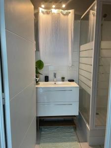 萊斯三河－勒茨的住宿－studio proche plages，白色的浴室设有水槽和淋浴。