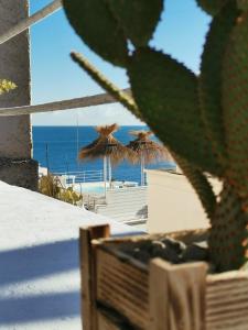 a view of the beach with umbrellas and the ocean at Carpe Diem B&B e Case Vacanza in Monopoli