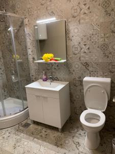 e bagno con servizi igienici, lavandino e doccia. di Apartments Orchidea a Dubrovnik