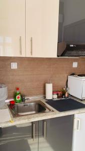 um balcão de cozinha com um lavatório e um micro-ondas em City view apartments 1 em Serres