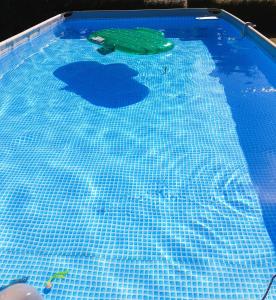 una piscina con rana y frisbee. en gîte les Blés Dorés, en Corgengoux