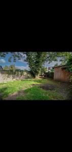 a tree in the middle of a yard with a fence at Neasdon's Guest Nest- 7 mins drive to Wembley Stadium in London