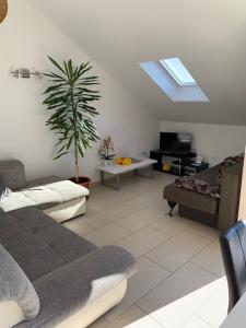 a living room with a skylight and a couch at Apartments Orchidea in Dubrovnik