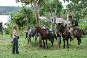 a man and a woman standing next to a group of horses at Tapirus Playa in Drake
