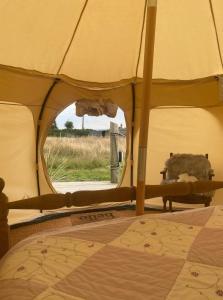 The Getaway - Seascape Belle Tent - Couples Luxury Glamping Belle Tent في دونغارفان: سرير في خيمة مطلة على ميدان