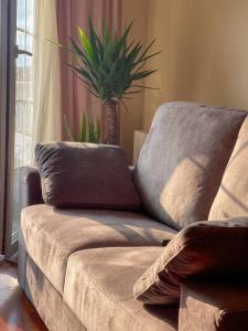 eine Couch in einem Wohnzimmer mit Topfpflanze in der Unterkunft El apartamento de Adriana en Torrelavega. in Torrelavega