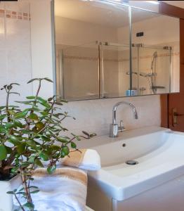 皮索涅的住宿－Lake view 14，浴室水槽,配有镜子和盆栽植物