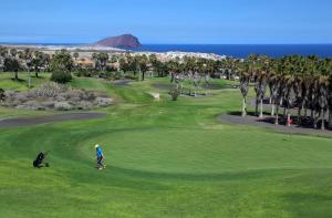 Golf ved lejligheden eller i nærheden