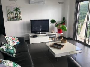 Μια τηλεόραση ή/και κέντρο ψυχαγωγίας στο Villa Bacaly