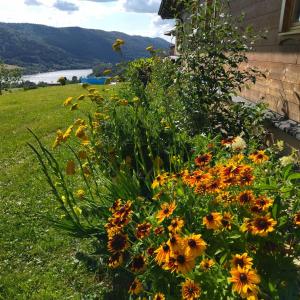 um jardim com flores amarelas e laranjas ao lado de uma casa em ORLIK - pokoje gościnne em Uście Gorlickie