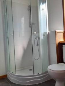 La salle de bains est pourvue d'une douche et de toilettes. dans l'établissement Agradable Casa a Orillas del Lago Rapel, à Las Cabras