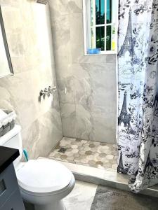 a bathroom with a toilet and a shower with a shower curtain at Andeve's tranquil beautiful home in Montego Bay