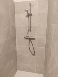 y baño con ducha con cabezal de ducha. en Falcade Dolomiti La Quiete piano terra, en Fregona