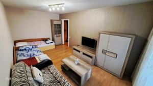 ein Wohnzimmer mit einem Sofa und einem TV in der Unterkunft Apartment Ramune in Šiauliai