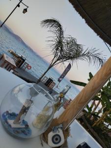 a glass bowl with a palm tree in front of a beach at EVITA PHILOXENIA in Xiropigado