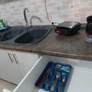 a kitchen counter with a sink and a tray with utensils at Vaggoula's Luxury Apartment 1 in Serres
