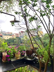 un balcón con un montón de plantas y flores en POMELO - Sun's Homestay - Lake View, en Hanói