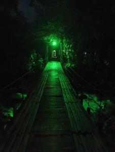 サン・ラファエルにあるNaturilandiaの夜の森の橋