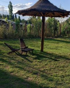 twee stoelen en een paraplu in een tuin bij Duplex "Valle Hermoso" in Malargüe