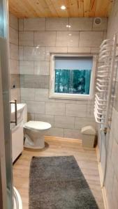 a bathroom with a toilet and a sink and a window at Oleandria-,, Domek Poziomeczka" nr 33 -ogrzewany w okresie jesienno-zimowym in Biskupiec