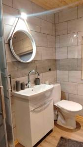 a bathroom with a toilet and a sink and a mirror at Oleandria-,, Domek Poziomeczka" nr 33 -ogrzewany w okresie jesienno-zimowym in Biskupiec