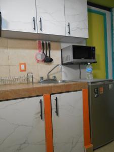 uma cozinha com um lavatório e um micro-ondas em Lofts San Ángel em Cidade do México