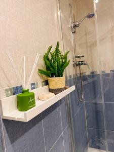 ein Badezimmer mit einer Dusche mit einer grünen Pflanze auf einem Regal in der Unterkunft ESPECTACULAR APARTAMENTO FRENTE AL MAR in El Borseral