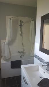 La salle de bains est pourvue d'une douche et d'un lavabo blanc. dans l'établissement Chb double avec baignoire, au Mans