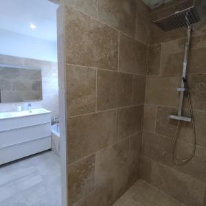 een badkamer met een douche en een wastafel bij La maison sous les pins in Saint-Laurent-dʼAigouze