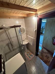 a bathroom with a shower and a sink and a toilet at Casa da Eira 